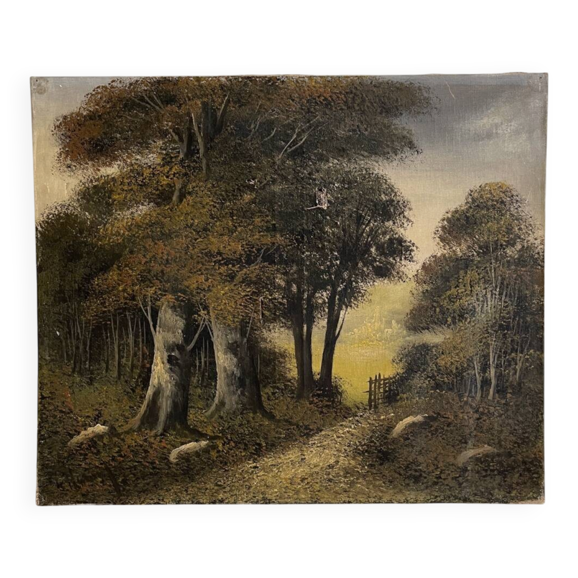 Old oil painting on canvas of a forest landscape.