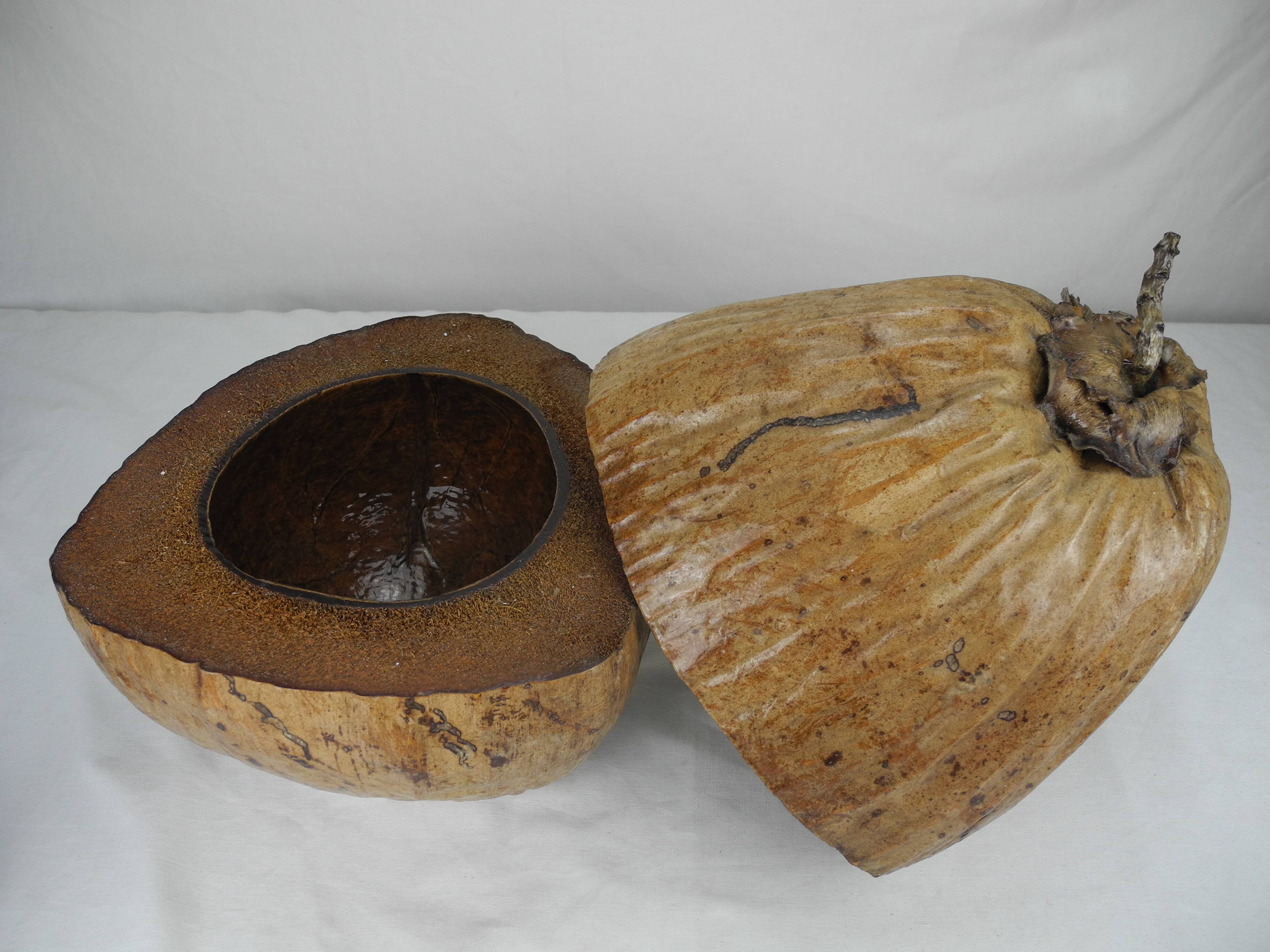 Old ice bucket coconut deco vintage
