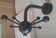 Coat rack Spoutnik Osvaldo Borsani