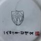 Salins collection plate