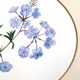 Tableau aquarelle fleurs de plumbago