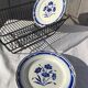 6 old plates on the ground "blue flowers"