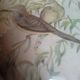 Antique oval curved glass frame 46/36c