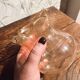 Tulipe globe ambre