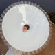Opaline wafer with wavy edge