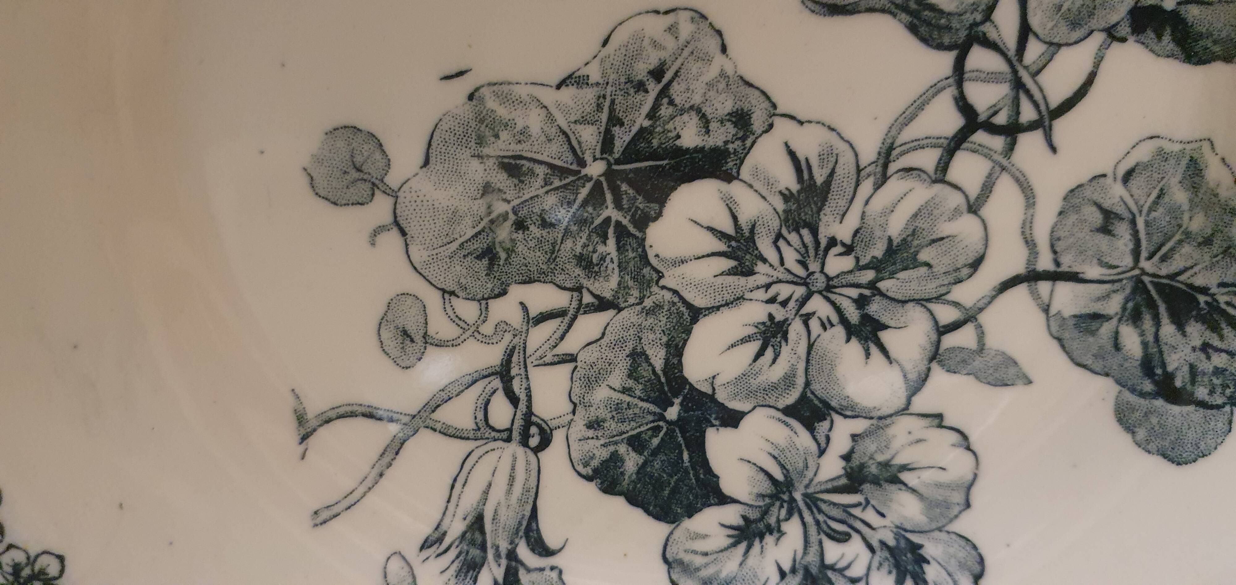 Assiettes terre de fer