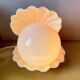 Shell lamp 1980
