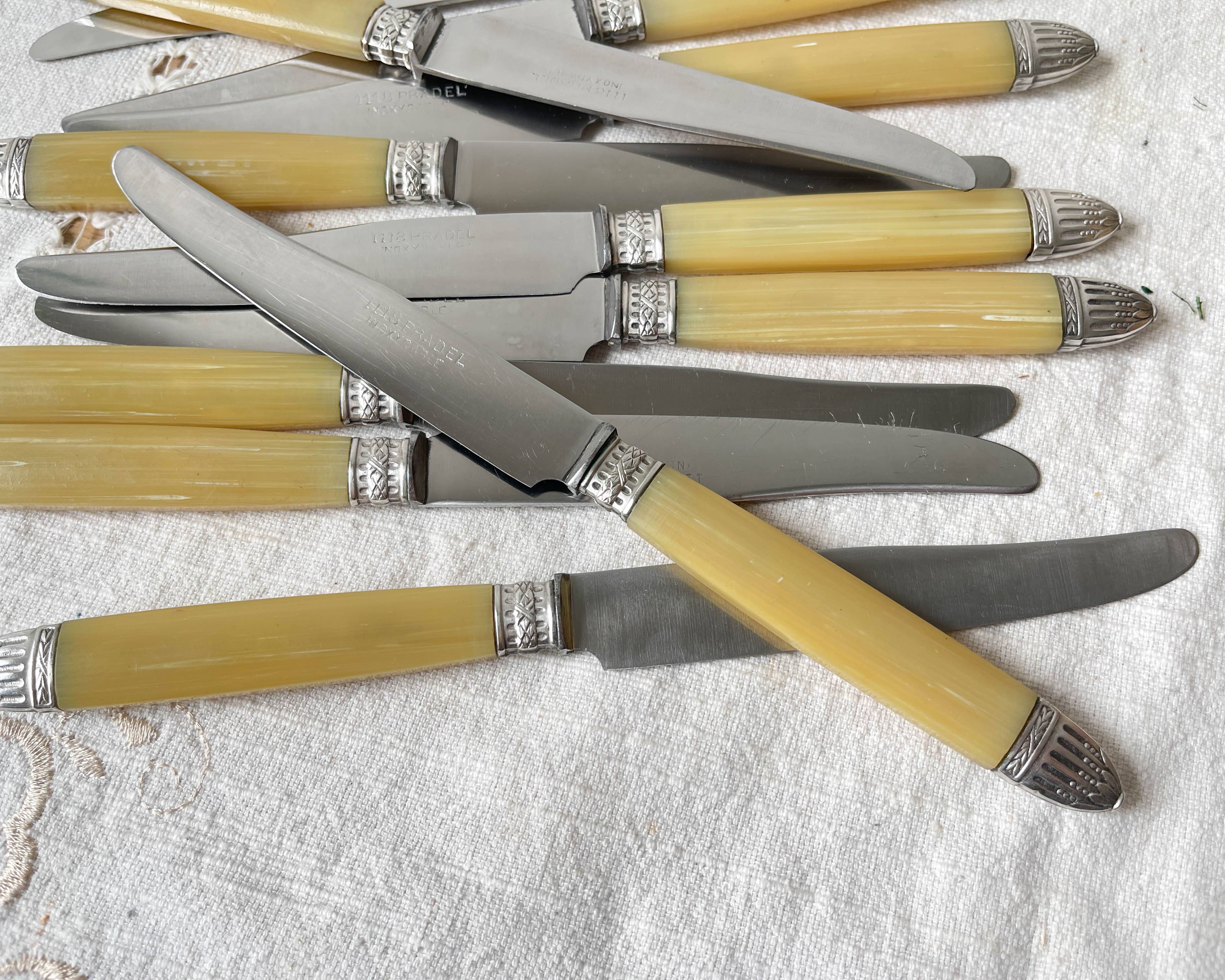 12 couteaux vintage bakélite Inox Pradel