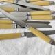 12 couteaux vintage bakélite Inox Pradel