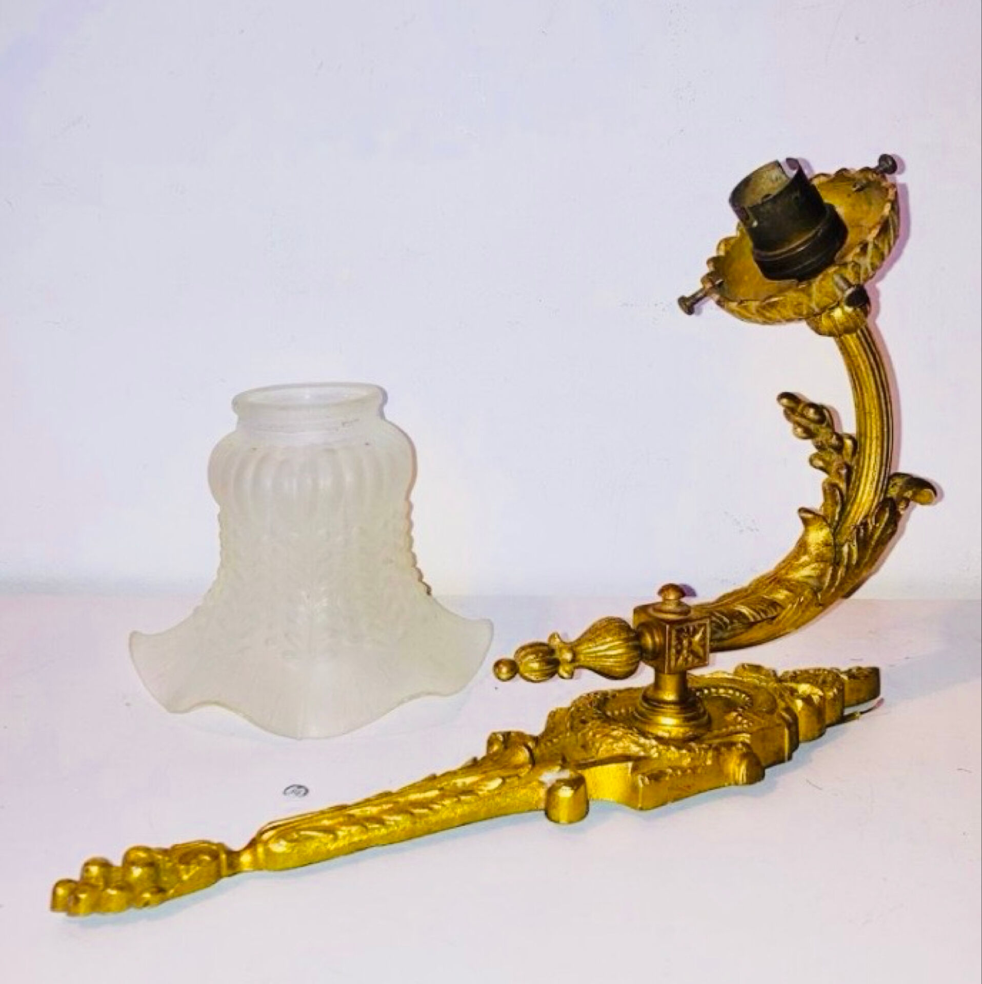 St Louis XVI wall light in solid gilded bronze + fluted glass tulip