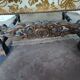 19th century armchair with original tapestry