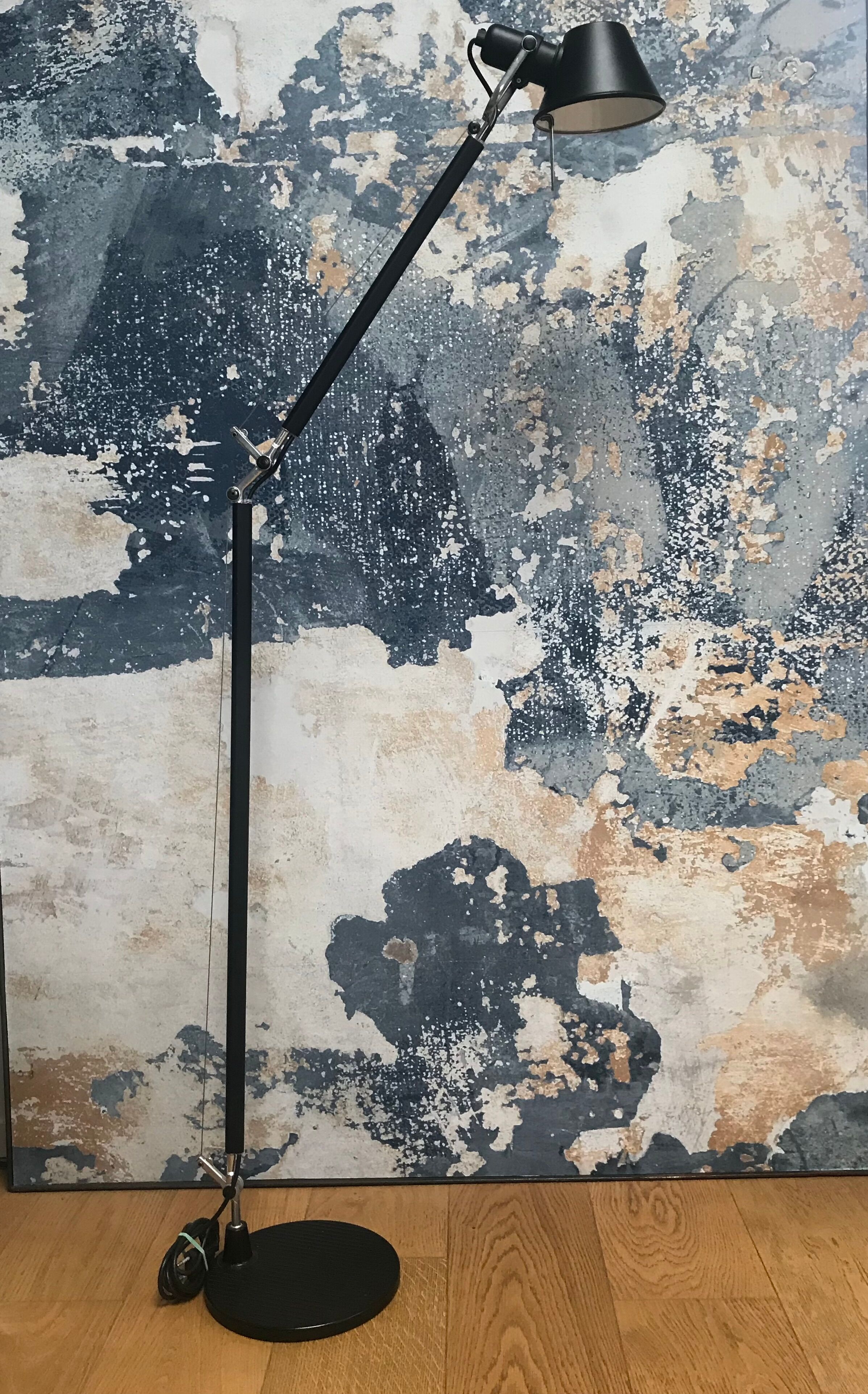 Tolomeo Lettura black floor lamp by Michele de Lucchi for Artemide