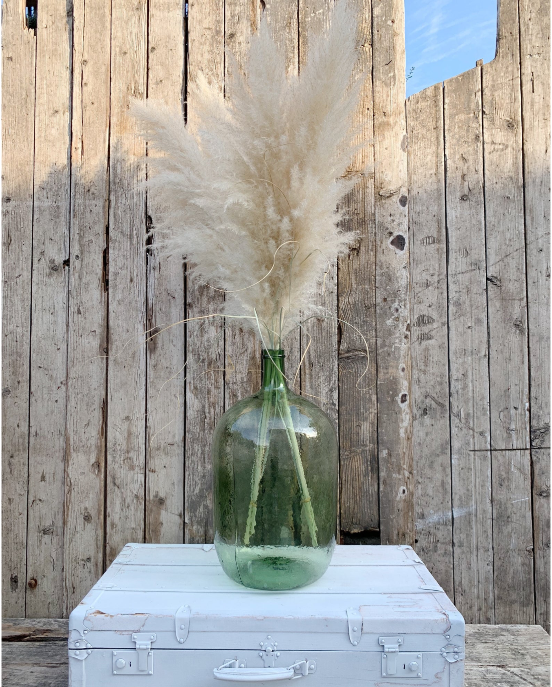 Bonbonne soufflée verte 20L