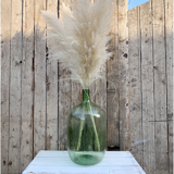 Green blown canister 20L
