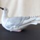 German Porcelain Seagull, 1930s Pocket Tray, Very Good Condition.