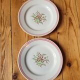 Set of 8 Sologne dessert plates from Lunéville