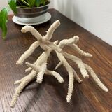 Branche de corail blanc