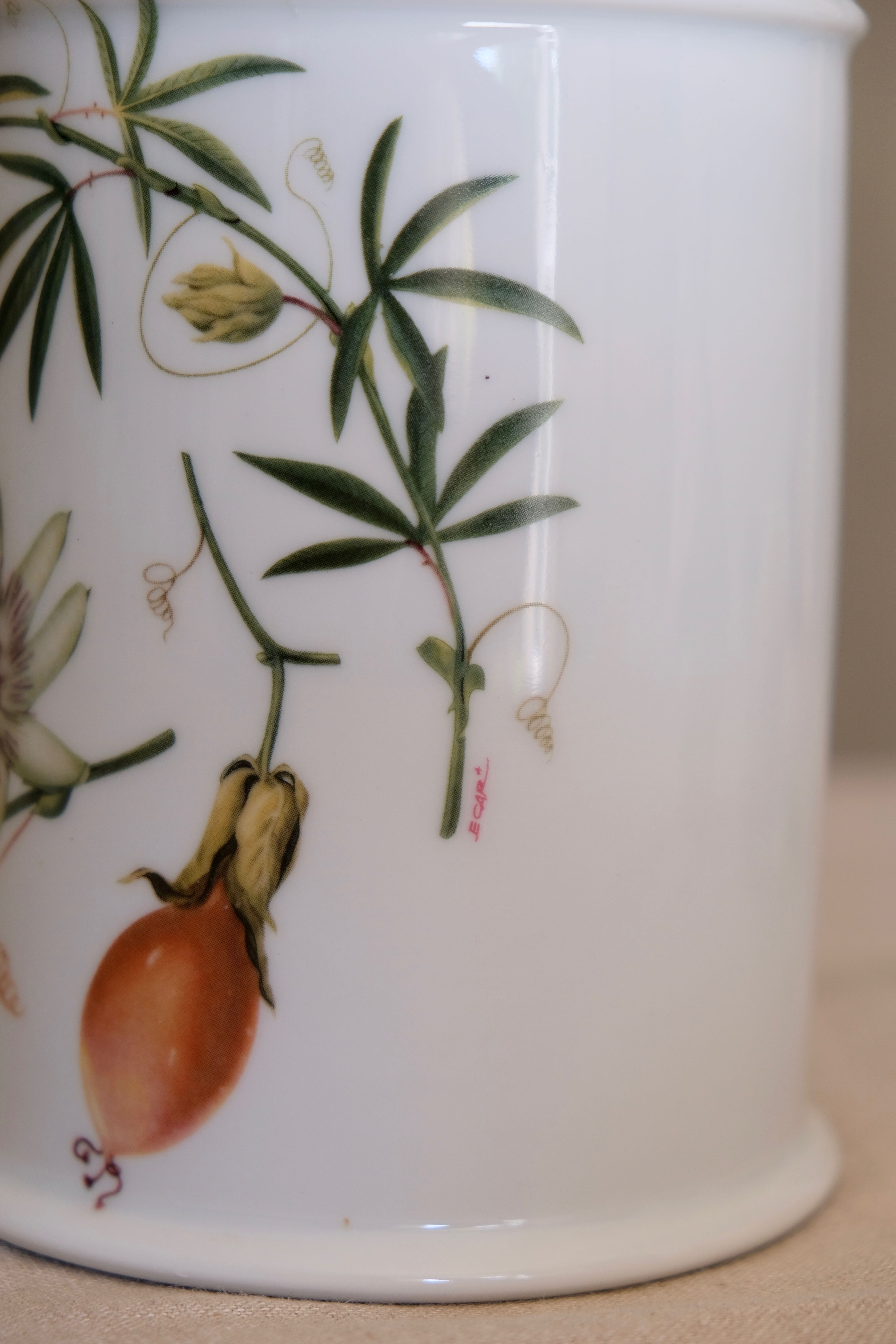 Pharmacy jar "Passiflora" porcelain Lourioux, creations Ph. Dehoulières France