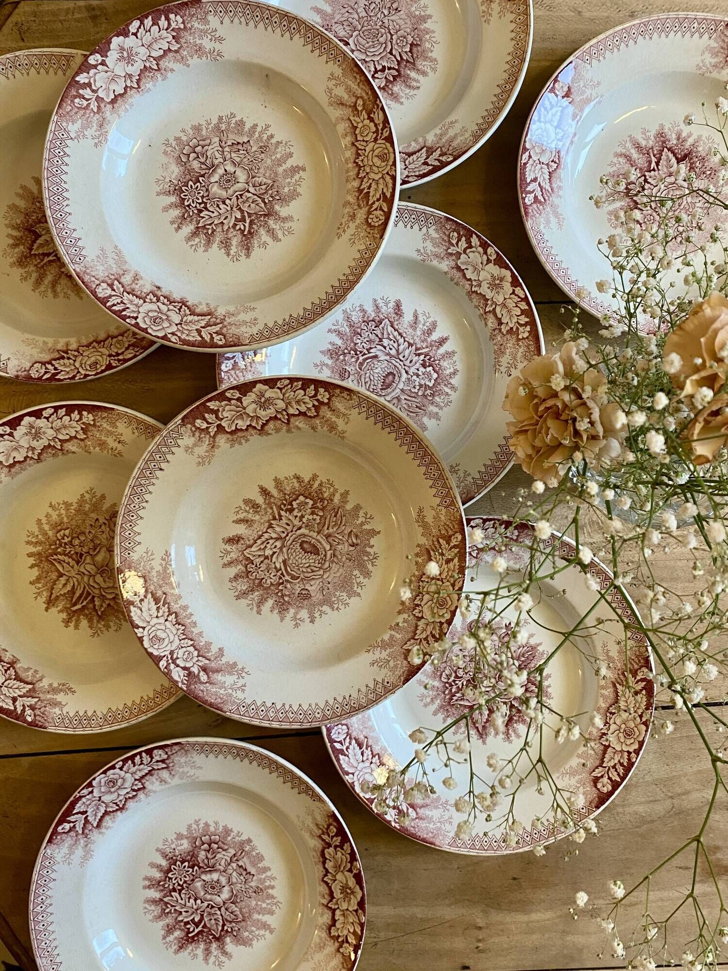 Set of 9 old ironstone hollow plates - Jardinière de Saint Amand