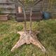 Garden table