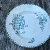 Series 6 tablespoons Plate Iron Earth