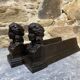 Pair of antique cast iron fire dogs "Ariadne"