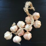Bunch of garlic in slip