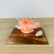 Lampe coquillage vintage socle bois