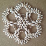 Shell trivet