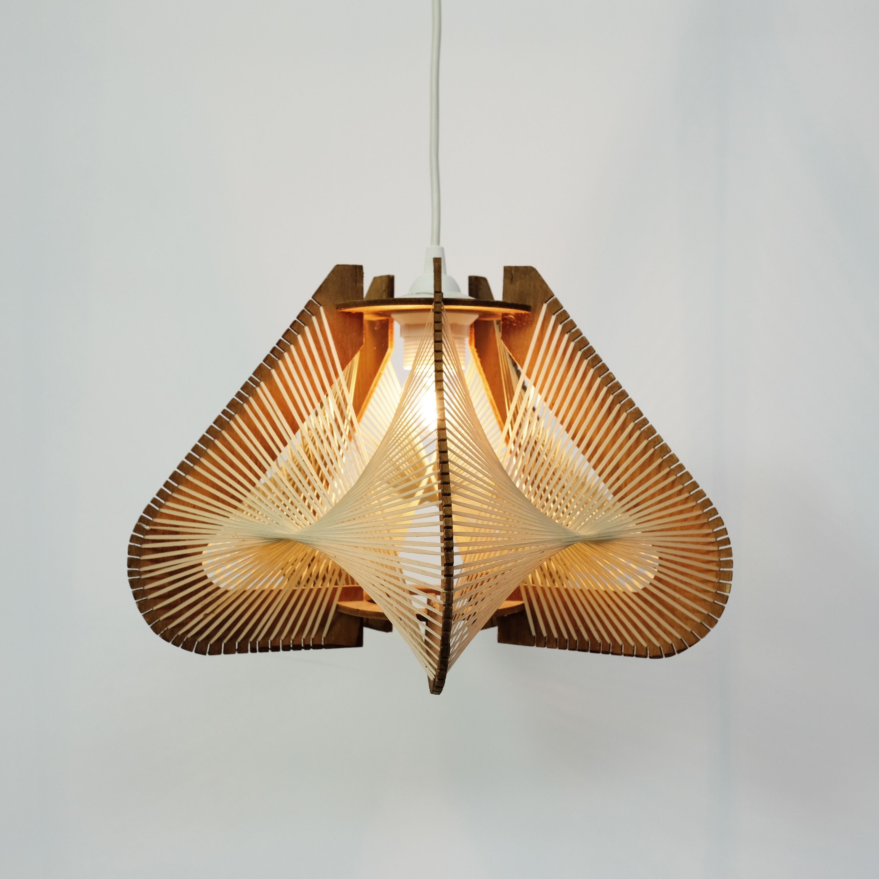 Lampshade for suspension in wire and wood