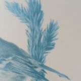 Blue tit in charcoal on board under glass, signed