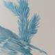 Blue tit in charcoal on board under glass, signed