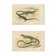 Ensemble de 2 planches reptiliennes, 1893, Divers lézards :