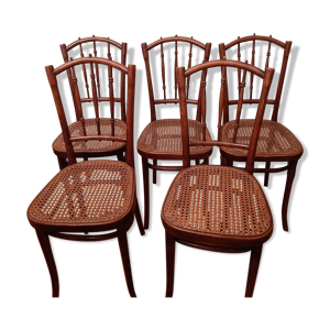 lot de 5 chaises Thonet