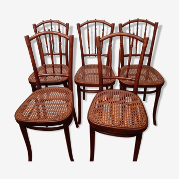 Thonet chairs, set of 5
