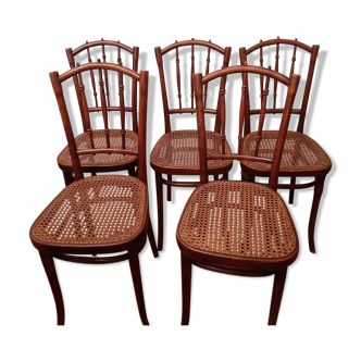 Lot de 5 chaises Thonet