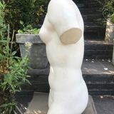 Plaster bust