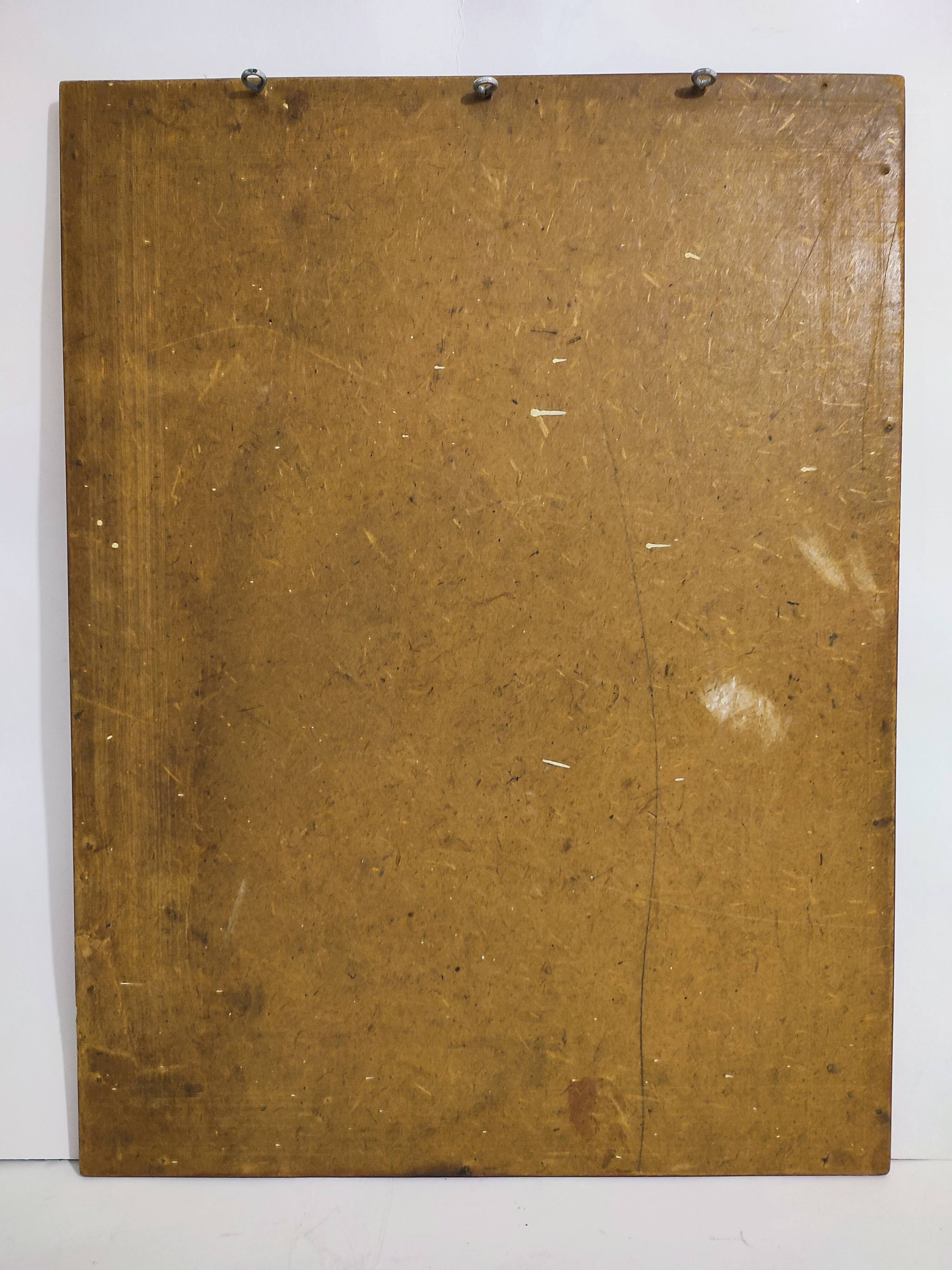 Gould lithograph enhanced hand hummingbird