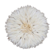 Juju hat white 50cm