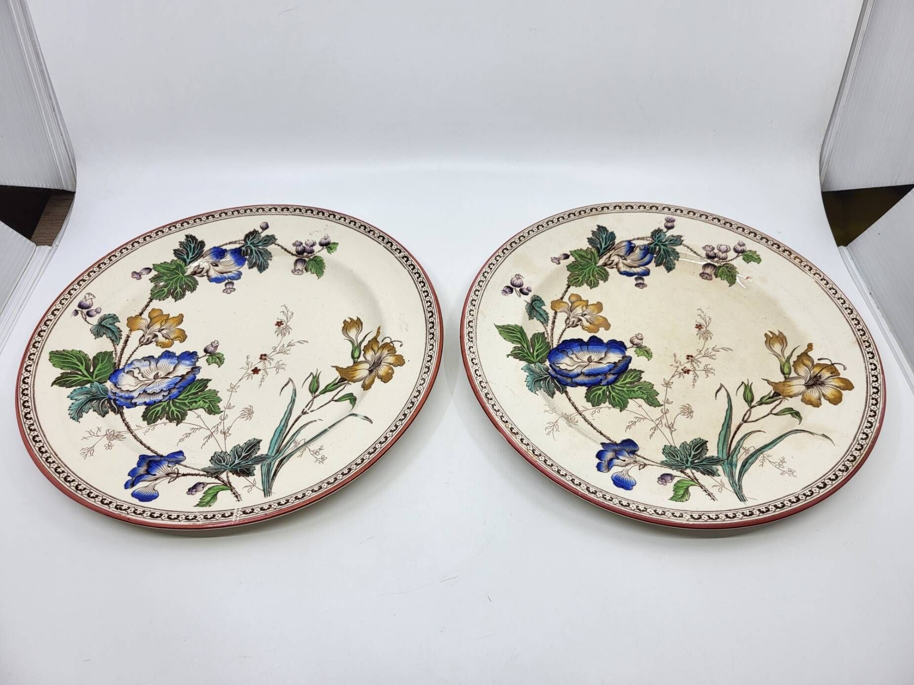 Victorian plate set by Brownfield & Sons model "Texas" England 1880