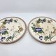 Victorian plate set by Brownfield & Sons model "Texas" England 1880
