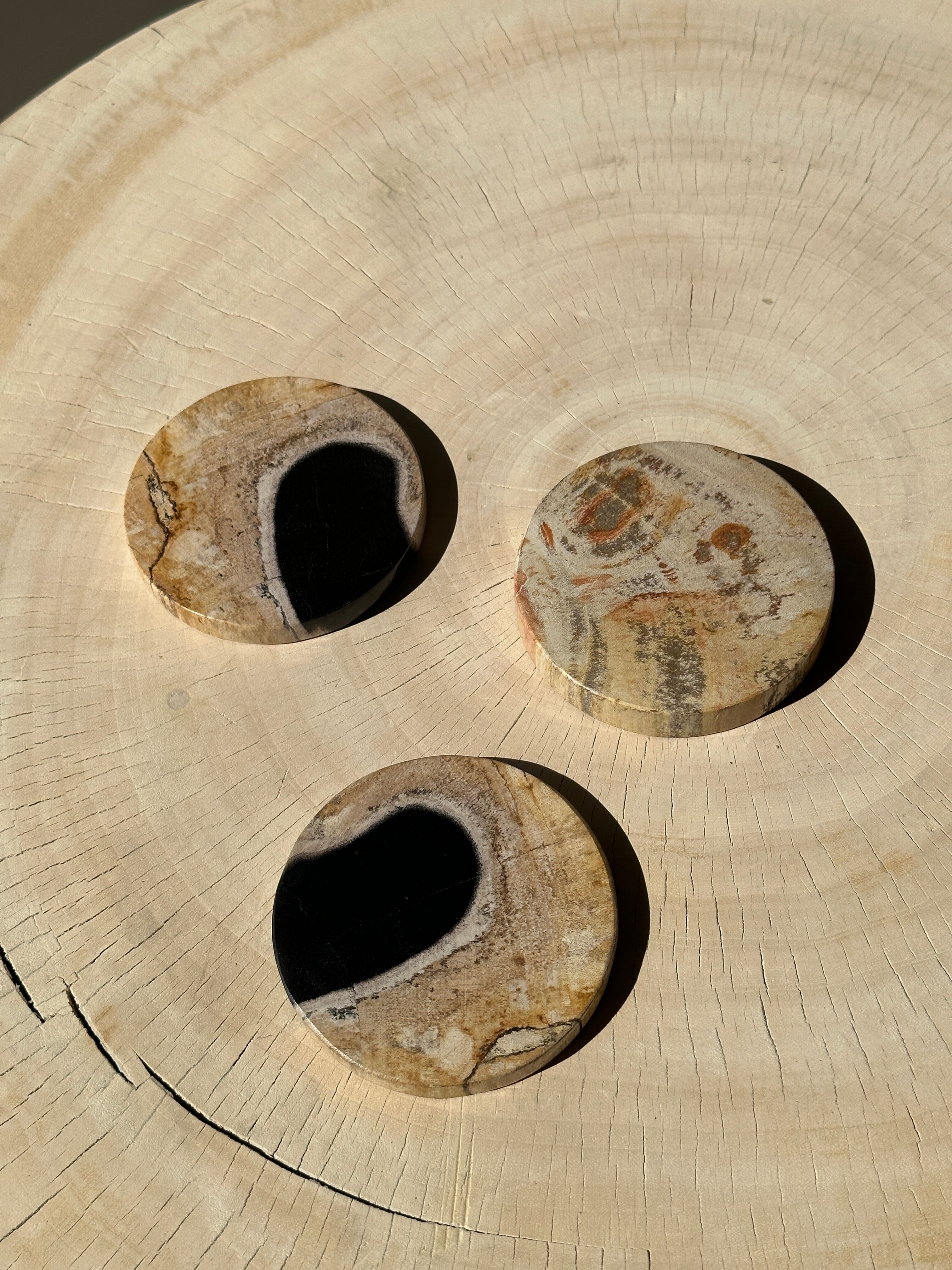 Set of 3 fossilized wooden coasters (clear)