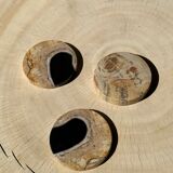 Set of 3 fossilized wooden coasters (clear)