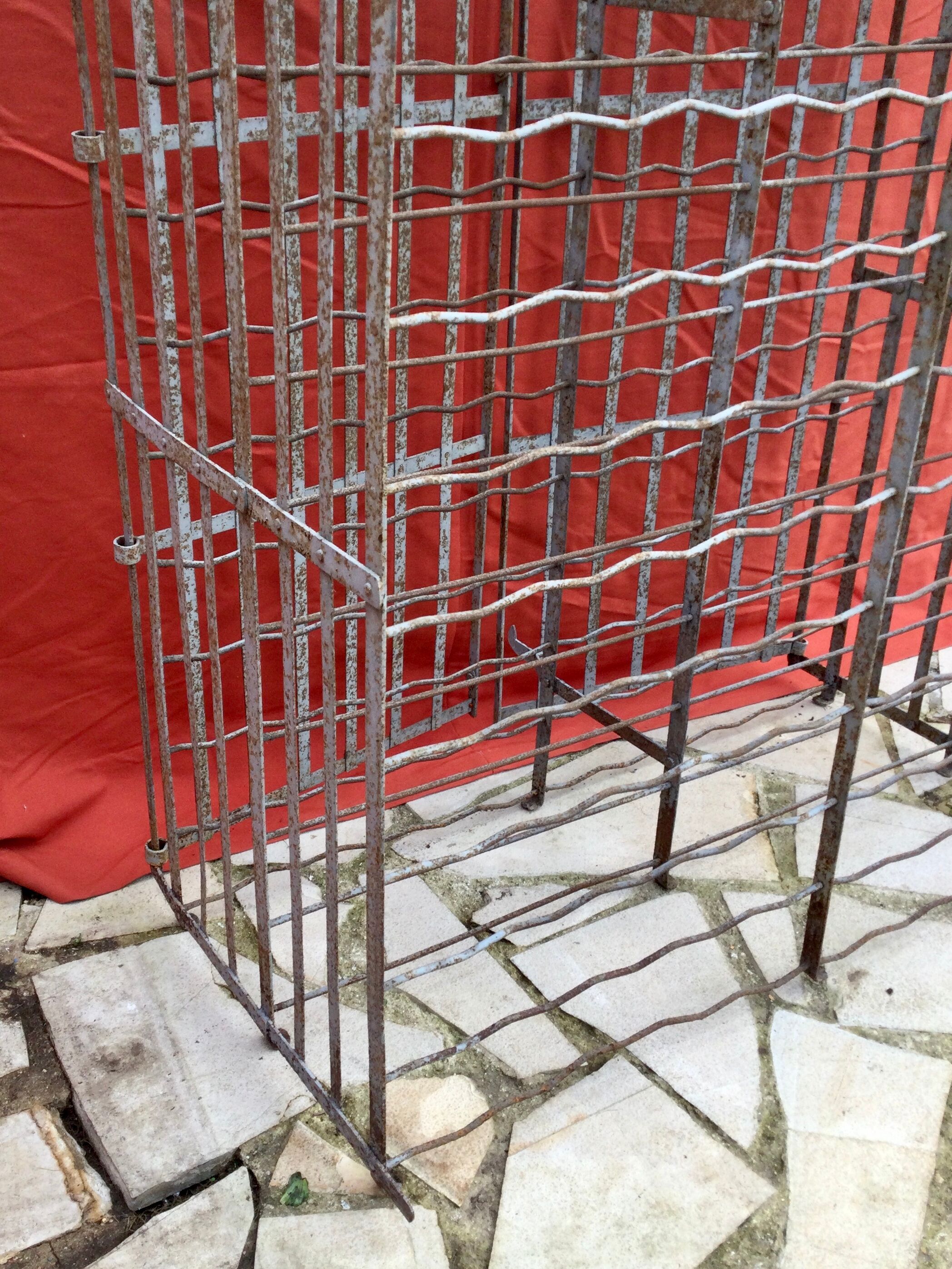 Wine cellar 300 bottles