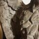 Aigle impérial  en fibrociment  XXème