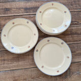 Old faience plates with flowers