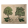 Gravure botanique 1870. Hêtre et Chêne. Planche arbre Vintage