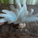 Beautiful original opaline cut
