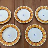 Flat plates model TOURNESOL DIGOIN