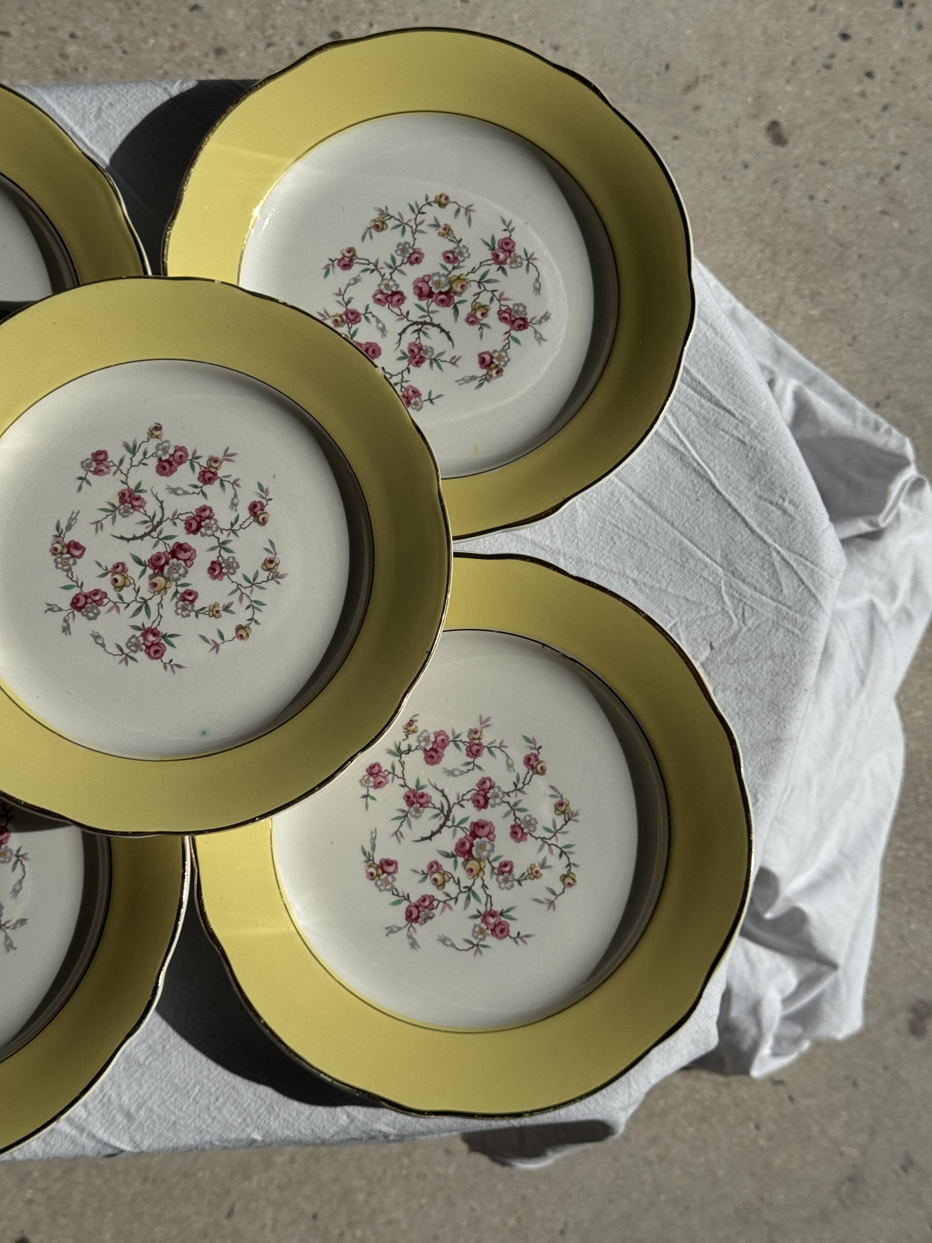 Lot de 19 grandes assiettes plates vintage jaunes fleurs roses liseré doré